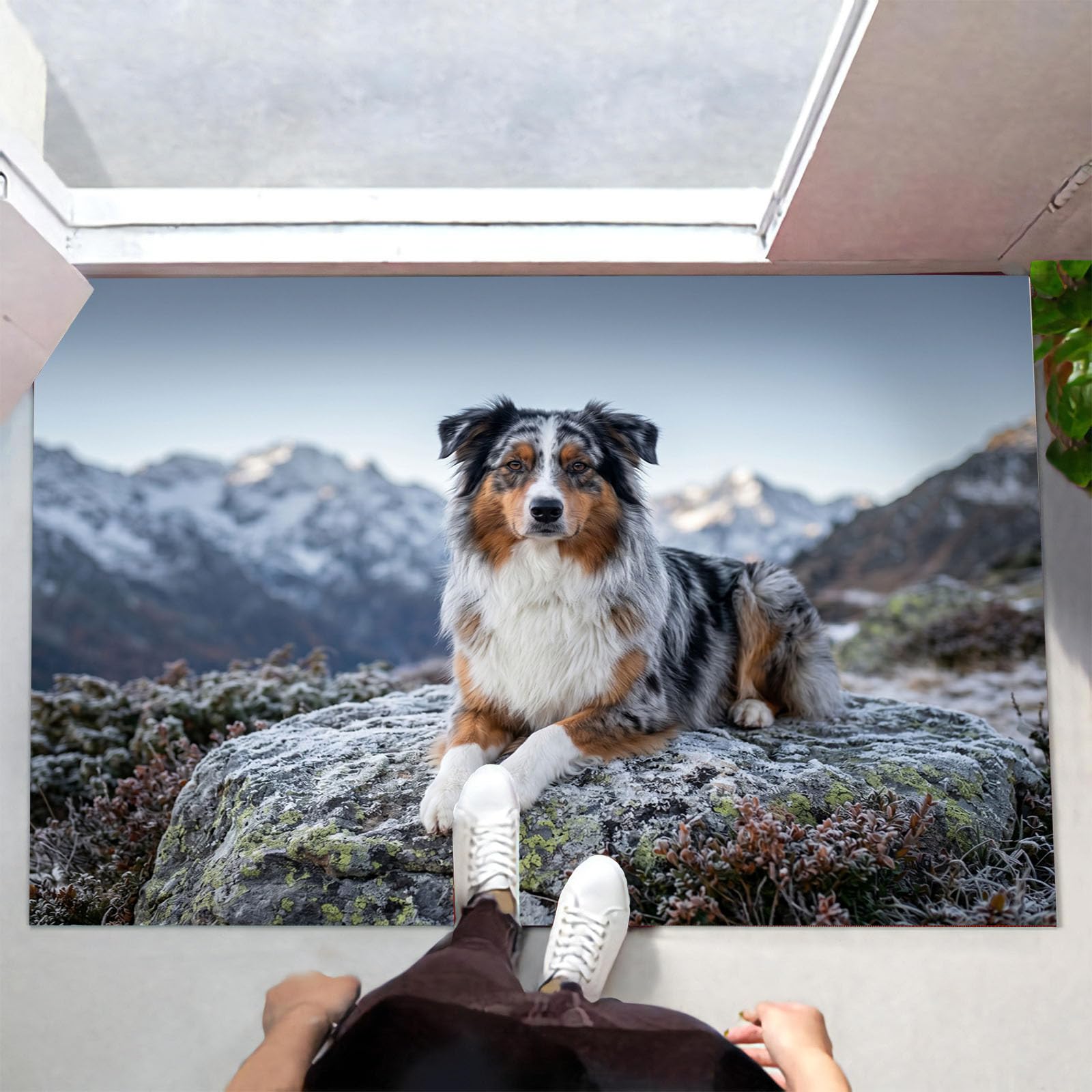 Zerbino Ingresso Interno Animali Realistici Montagna Innevata, Zerbino Di Benvenuto Lavabile Morbida Australian Shepherd, Antiscivolo Tappeto Da Decorazioni Grigio Per Casa Porta, 60X90Cm