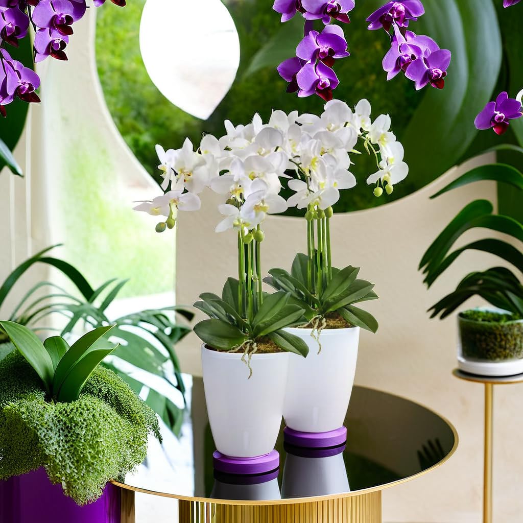 Santino 4er-Set Orchideentopf D 15cm Selbstbewässernder Topf mit Dochtsystem und Wasserstandsanzeige für den Innenbereich - White - 2L