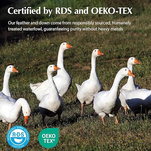 Miniatura 7 de Pacific Coast Almohadas de plumón de ganso blanco, almohadas de cama para dormir de espalda, estómago y de lado, juego de 2 almohadas tamaño King,