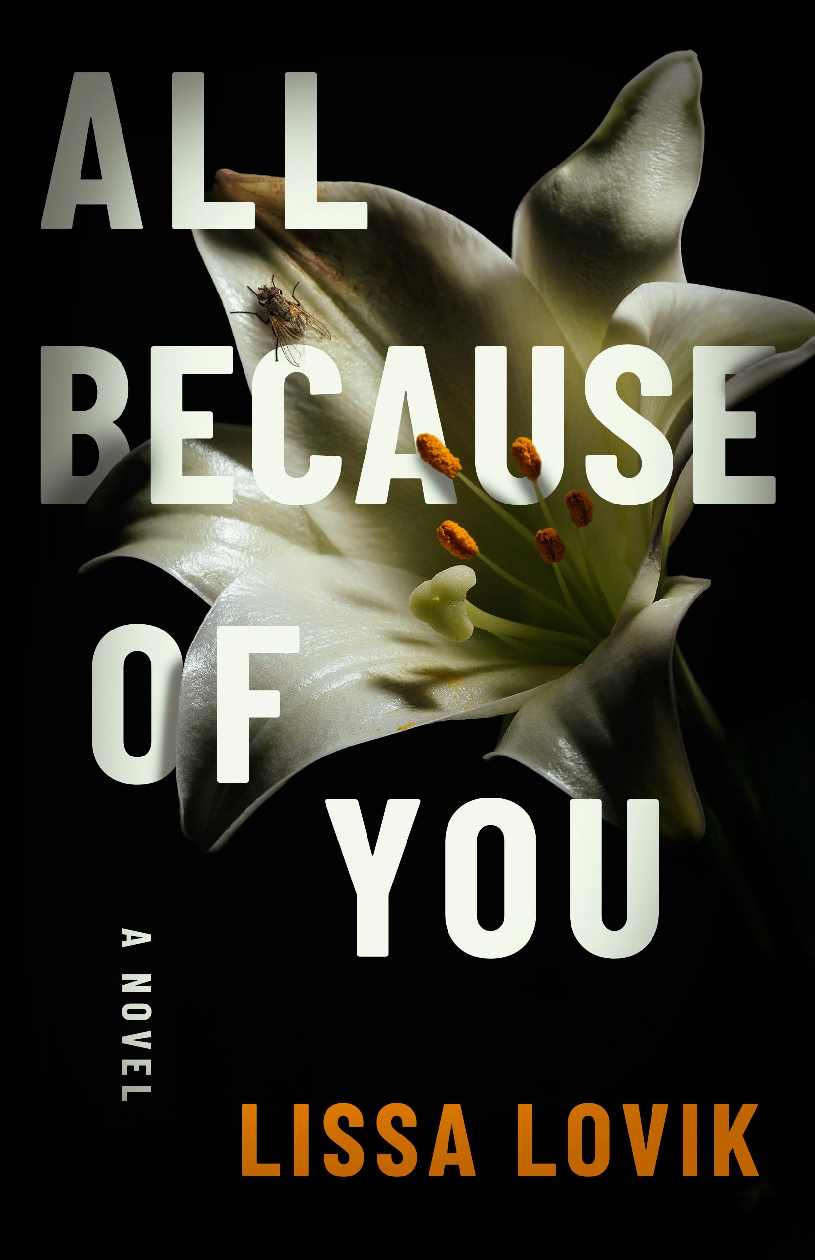 All Because of You: A Novel. Lovik, Lovik, 9781662530067 Fast Free Shipping**