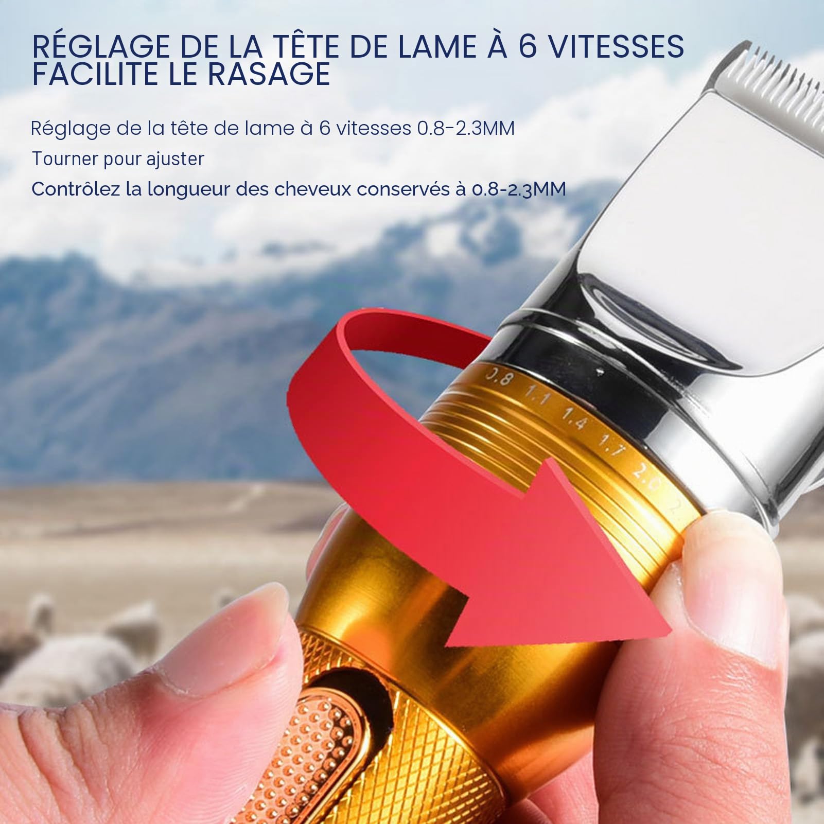 BestAlice Cisaille à Moutons Tondeuse électrique Professionnelle pour Moutons, Tondeuse de Toilettage pour Moutons, Alpagas, Chèvres, 6 Vitesses, Machine de Toilettage pour Chats, Chiens(EU)