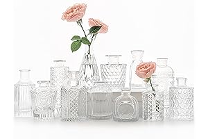 Mini Glass Vases: Elevate Your Home Décor with Grace and Charm