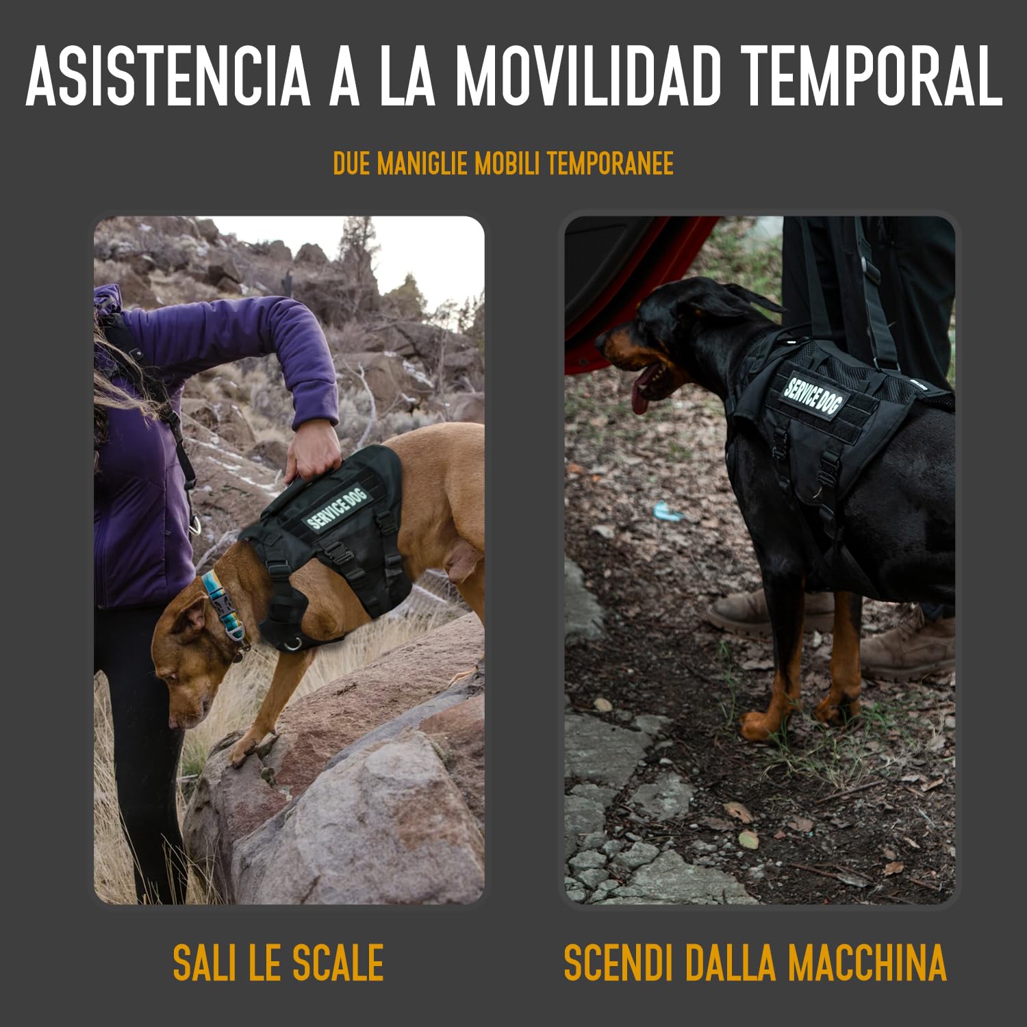 Arnés de elevación para perros grandes, arnés de malla militar transpirable con chaleco Molle con hebilla de metal de 39 g para entrenamiento, senderismo y caminata
