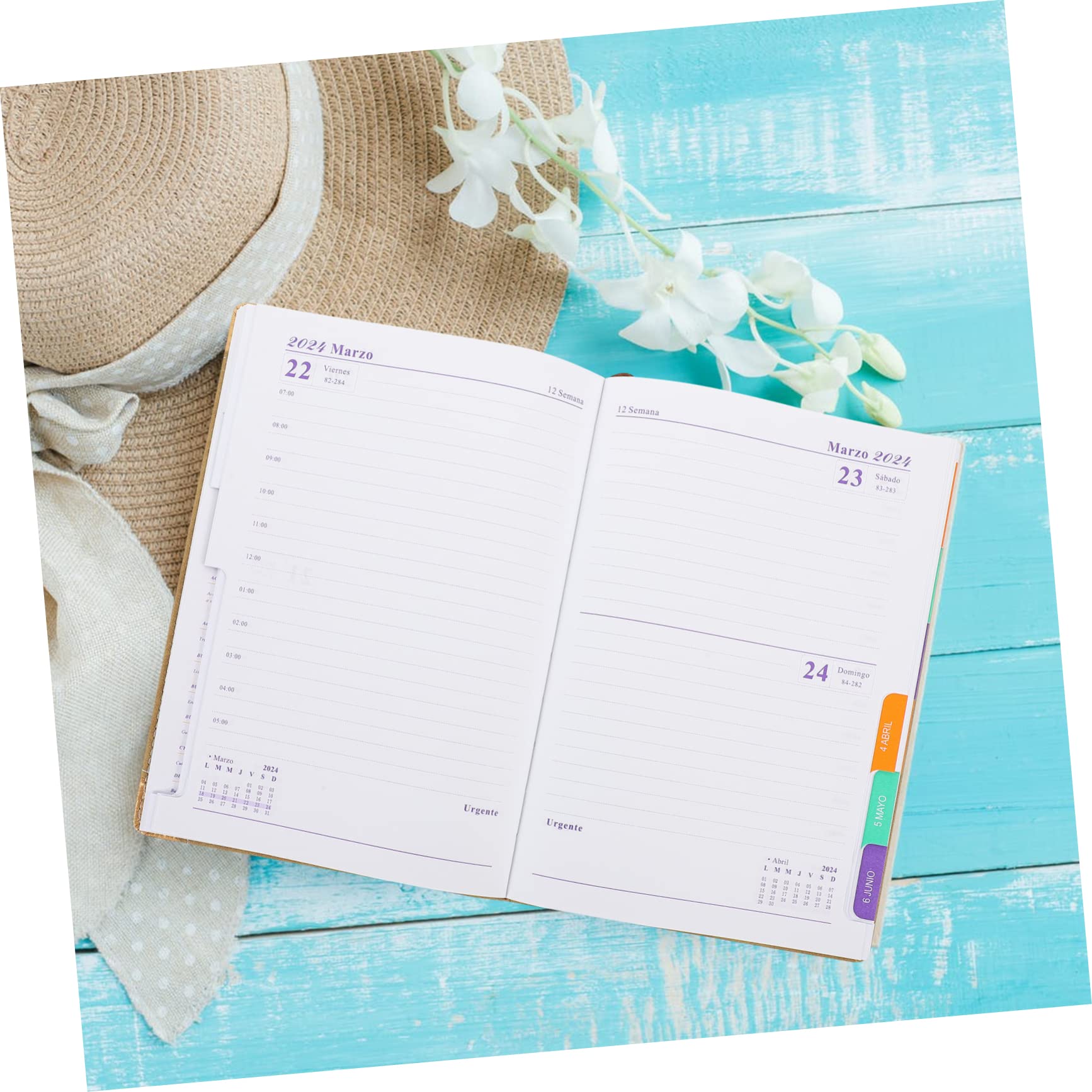 Operitacx Quaderno Planner Delicato per Studenti Blocco Note Annuale Portatile Agenda Giornaliera Facile da Usare