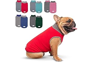 Cute Pug Sweaters for Dogs