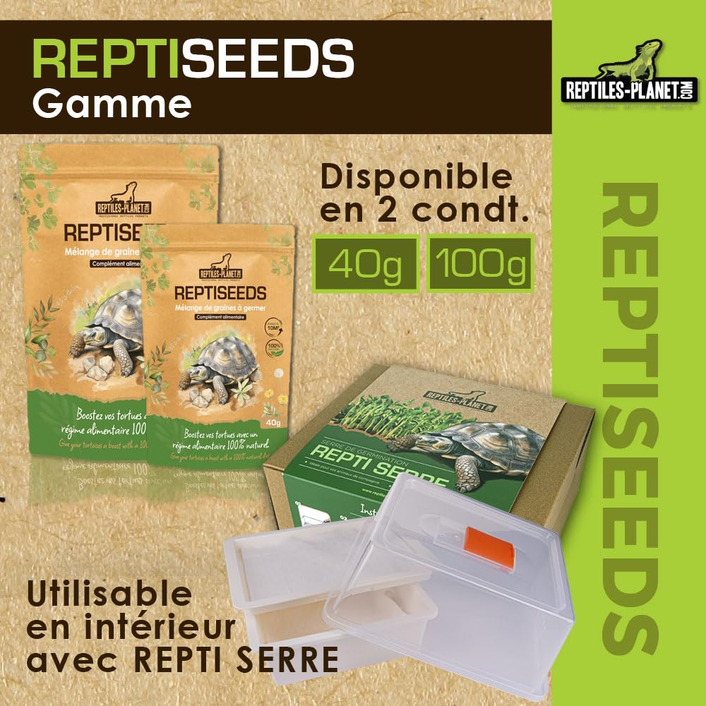 Reptiles Planet - Reptiseeds - Mieszanka nasion kiełkujących żółwia ziemnego - 40 g