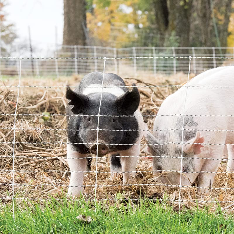 Miniatura 3 de Premier Feral Hog - Valla de red eléctrica, blanca, 102412 (24 pulgadas de alto x 50 pies de largo)