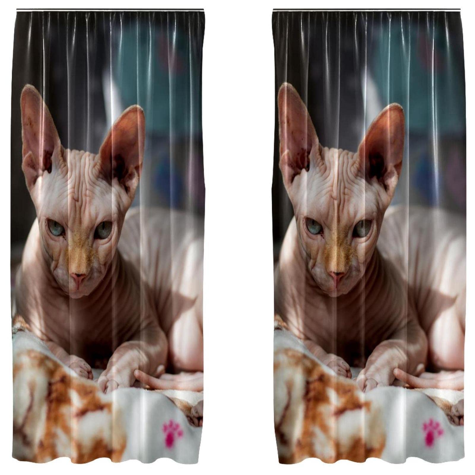 Cortinas de gato Sphynx sin pelo de 55x84 pulgadas para dormitorio