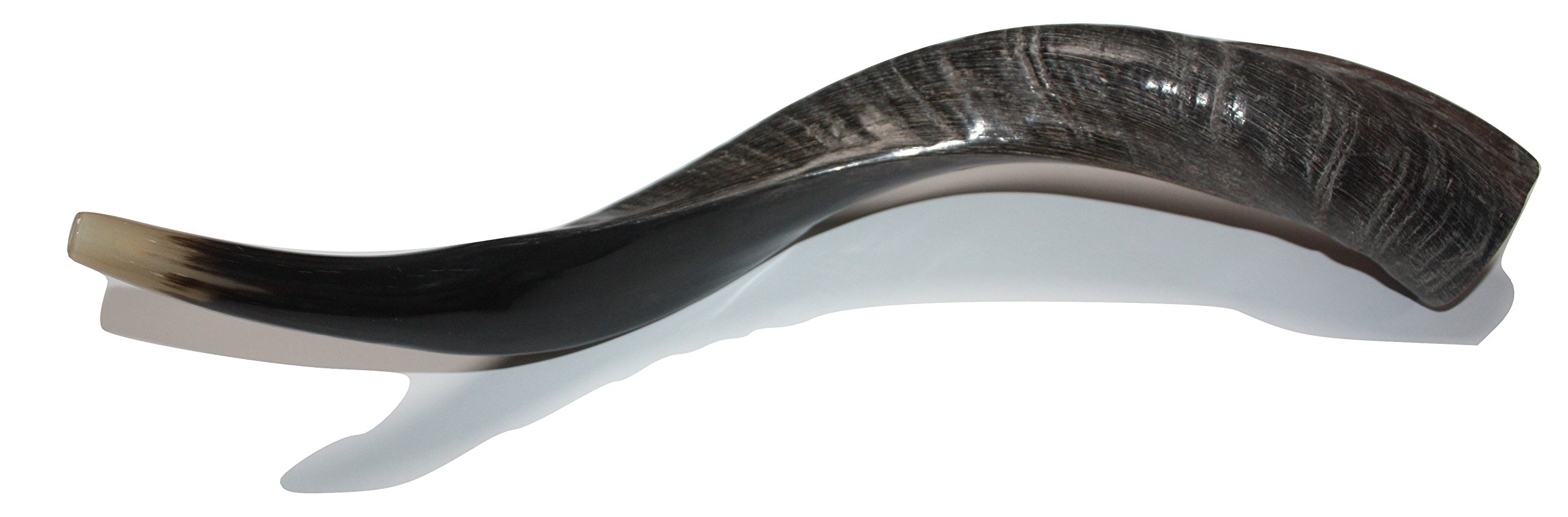 40,6 - 48,3 cm natürliches, authentisches Koscher-Yemenit Kuduhorn Schofar jüdisch – Israel