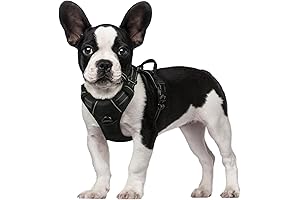 rabbitgoo No-Pull Dog Harness: Ultimate Comfort and Control for Your Furry Friend