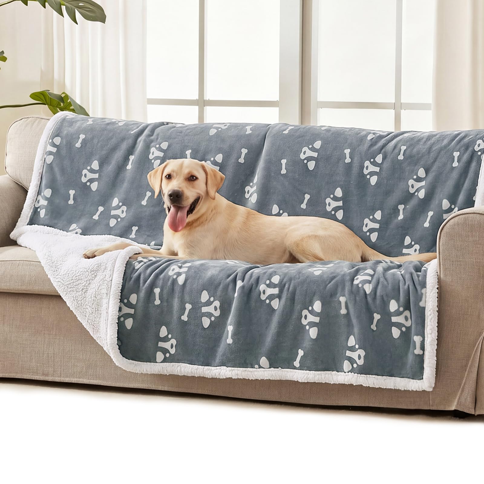 Luciphia Waterproof Pet Blanket