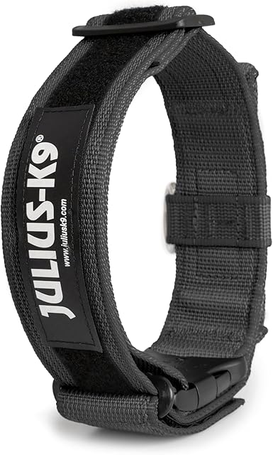 Julius-K9 obroża Color & Gray z uchwytem, zamkiem bezpieczeństwa i wymienną naszywką, 50 mm, 4970 cm, czarno-szara