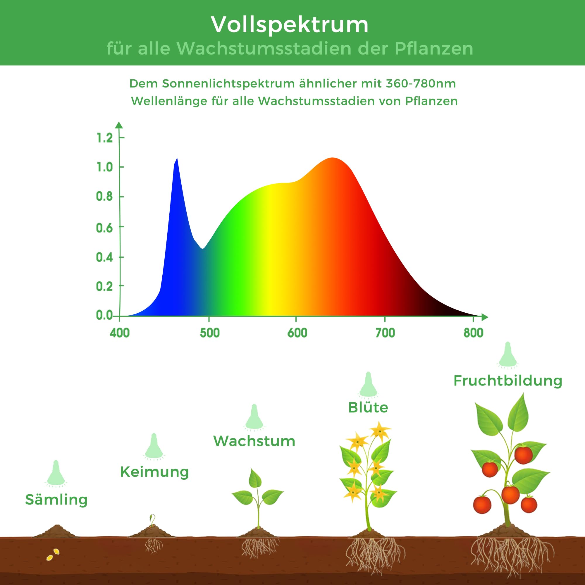 Briignite Pflanzenlampe, Grow Lampe, E27 Pflanzenlampe LED Vollspektrum, BR30 12W Pflanzenlicht für Zimmerpflanzen, Pflanzenlicht Anzucht, Wachstumslampe für Pflanzen, Größe 13 * 9.5cm, 2 Stück