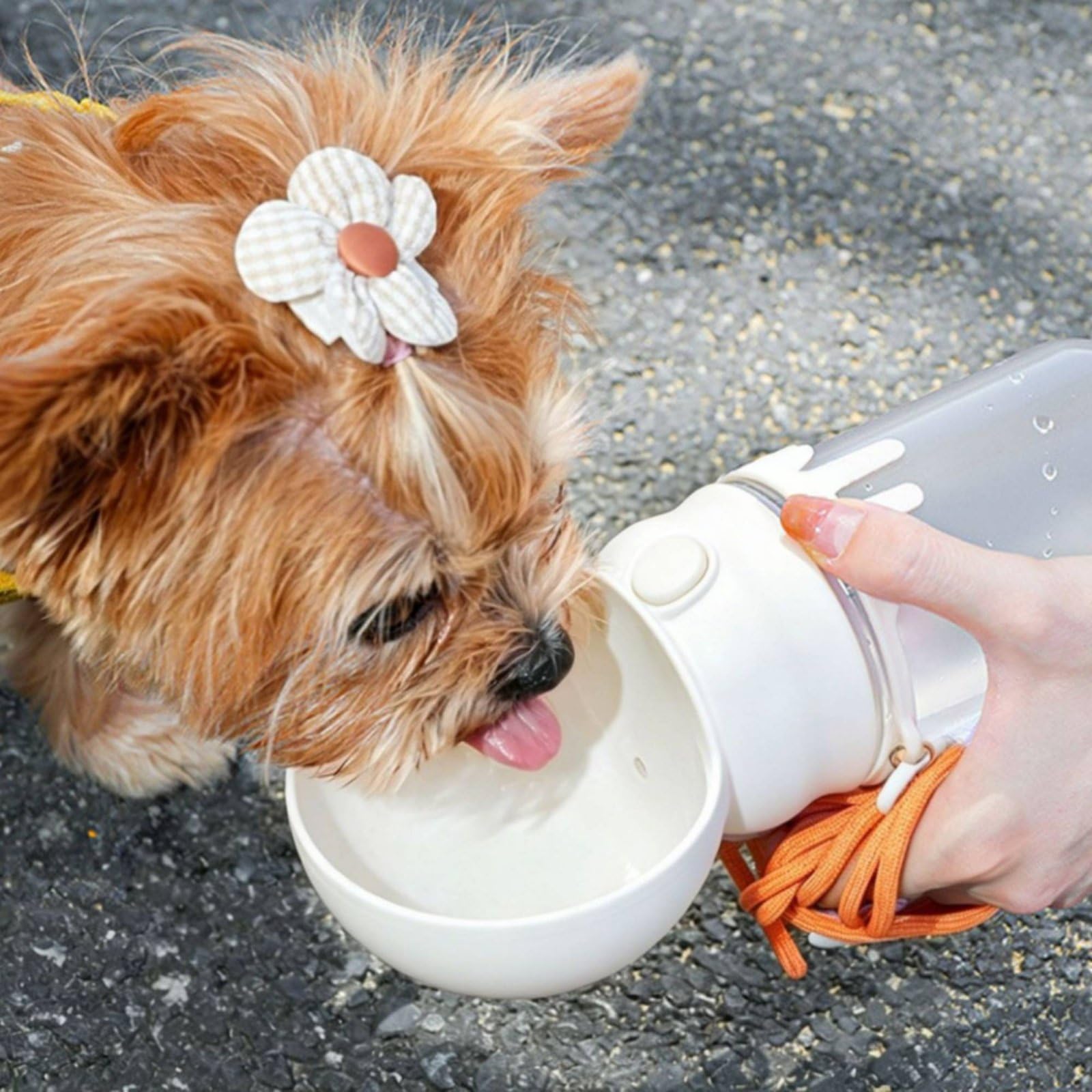 predolo Bottiglia Acqua Cane Portatile Leggera Borraccia 2 in 1 con Ciotola per All'aperto, Bianco, Con Tracolla