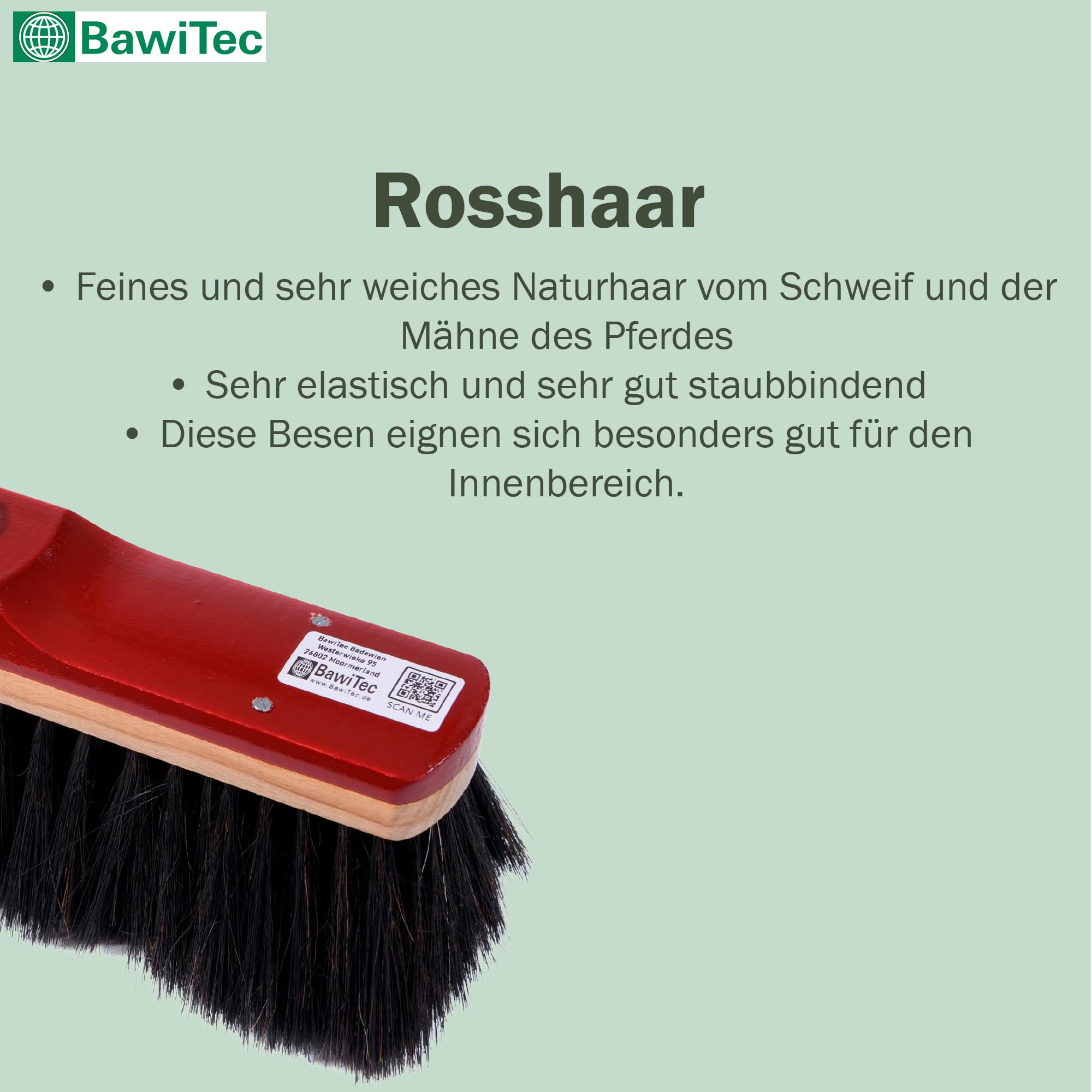 Hochwertiges Rosshaar Besen Set Handfeger Kehrschaufel Teleskopstiel Stiel | Besen 30cm, Handfeger 28cm, Holz-lackiert, Teleskopstiel verstellbar, Metall-Kehrschaufel verzinkt mit Lippe