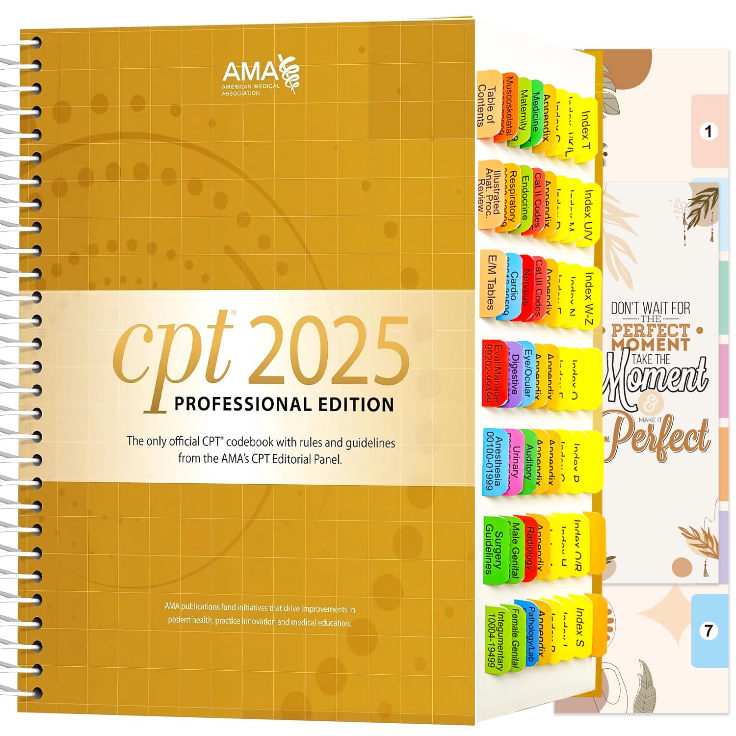 Onglets pour CPT 2024 Professional Edition. 72 onglets à code couleur et laminés, avec marqueurs de page, guide d'alignement et marque-page (livre non inclus)