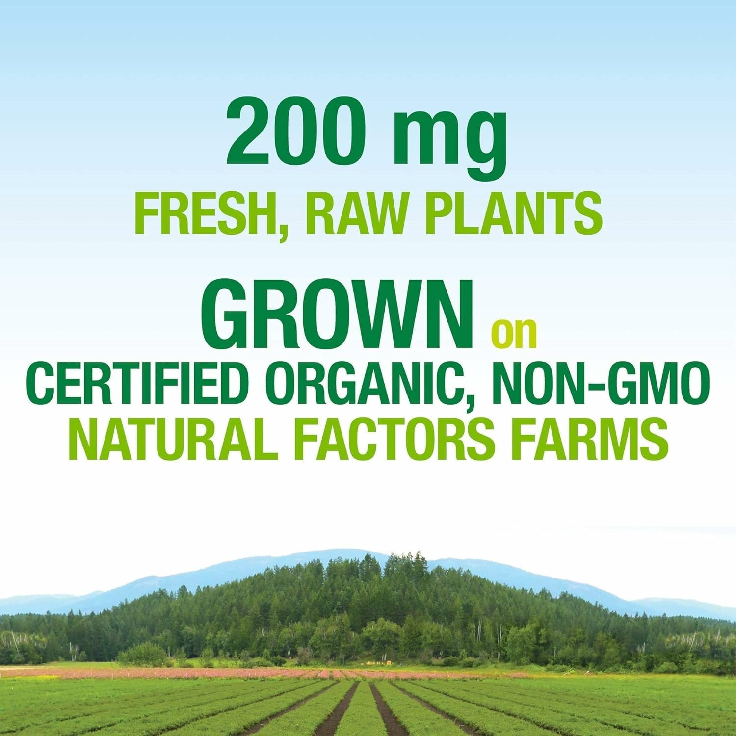 Natural Factors Whole Earth & Sea, Women's Prenatal Multivitamin and Mineral, Whole Food Supplement, Vegan, 120 Tablets