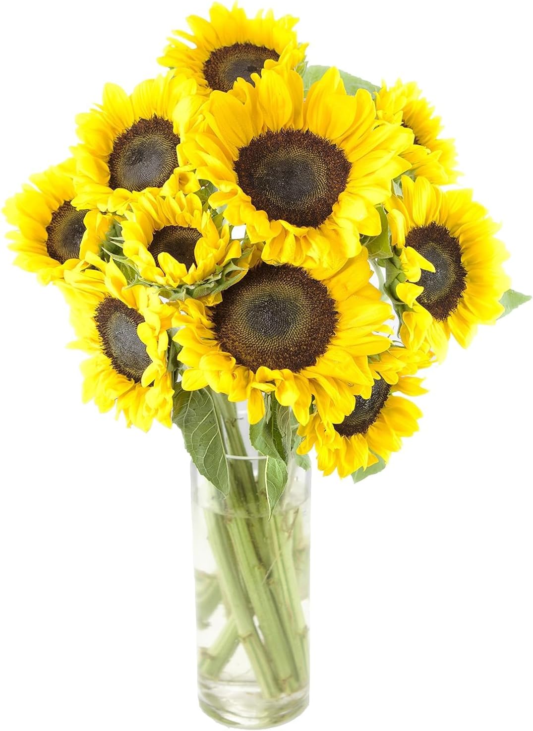KaBloom - Sunflower Bouquet: 10 Bright Yellow Sunflowers with Vase - Fresh Flowers for Birthday, Valentine's & Mother's Day