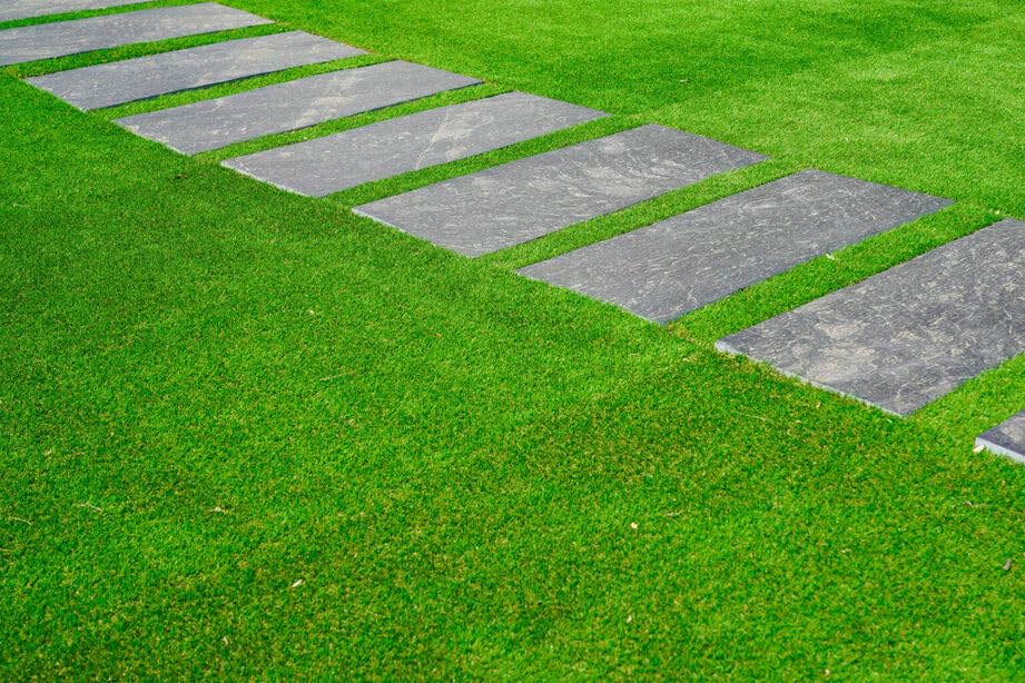 Original Lawn Grass Seeds For Garden Pack of 3000 (B0CX5LYZQN) Amazon Price History, Amazon Price Tracker