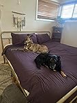 Review Image by Kindle Customer
