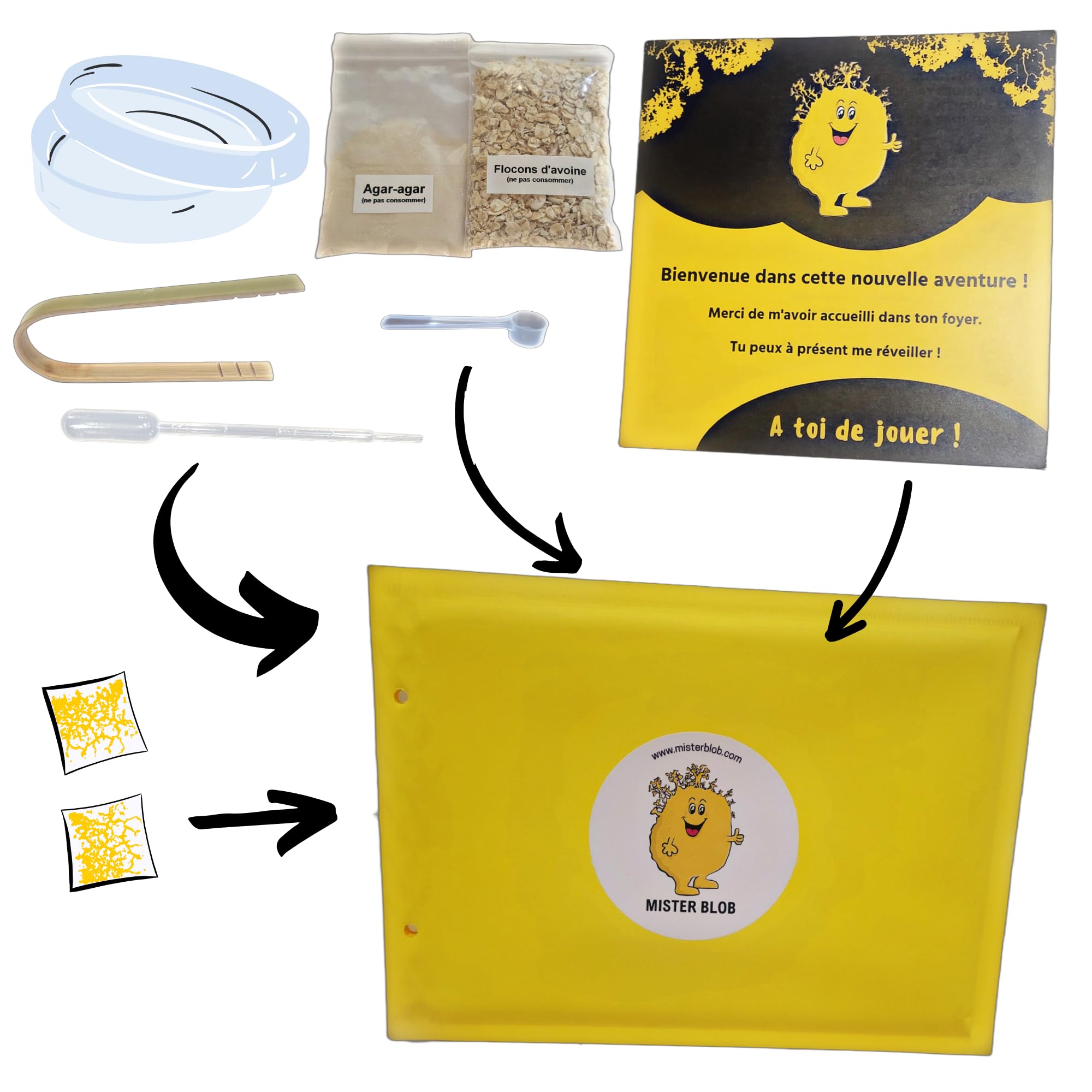 Albert® Kit Blob Vivant – Expérience Scientifique Complète – Éveille Ton Blob en 24h – Cadeau