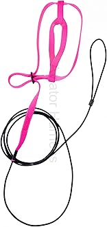 The AVIATOR Pet Bird Harness and Leash: Small Pink