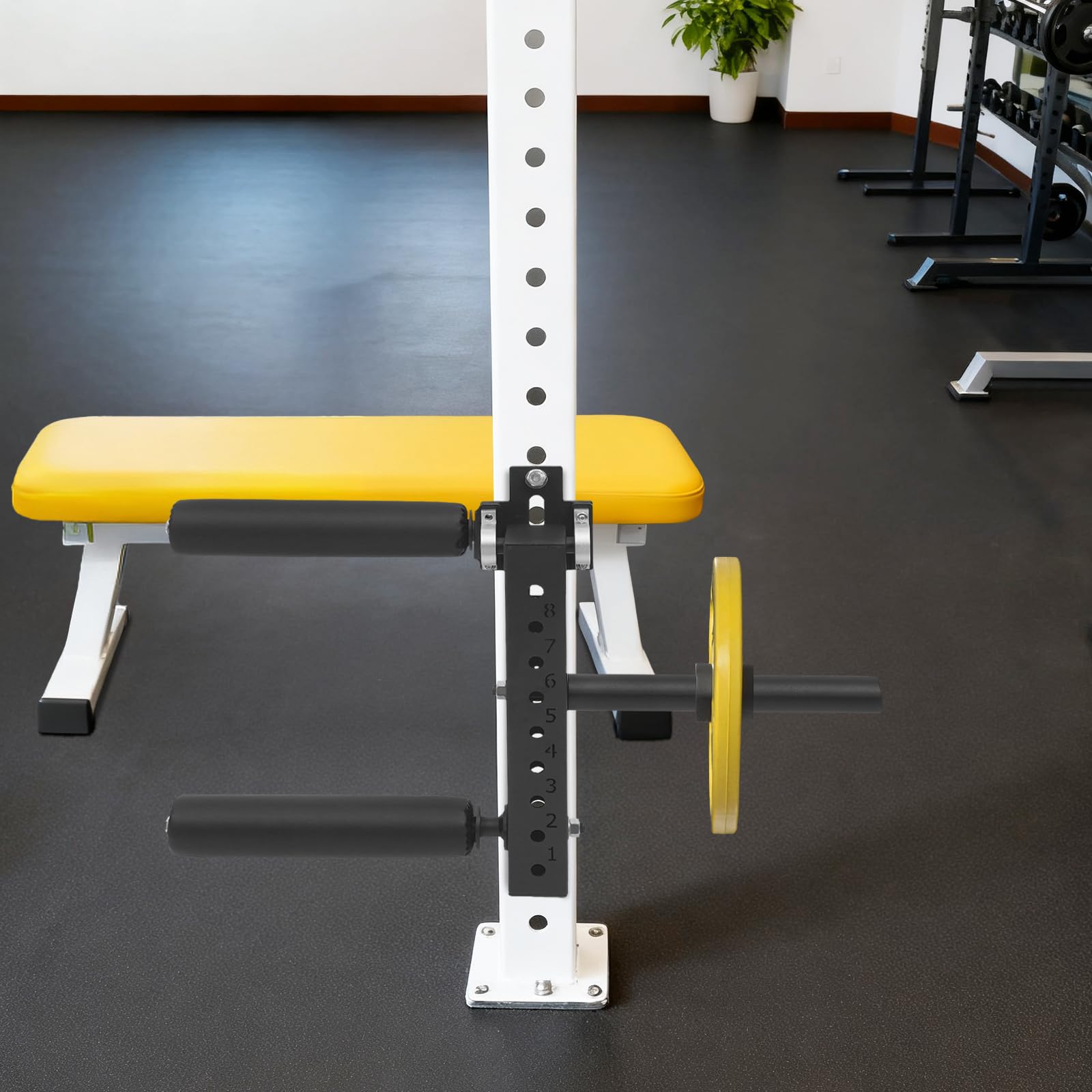 Beinverlängerungs- und Curl-Gerät 16mm - Sitzende Beinmaschine mit 8 Verstellpositionen für Oberschenkel & Beinbeuger, Geeignet für Zuhause & Fitnessstudio