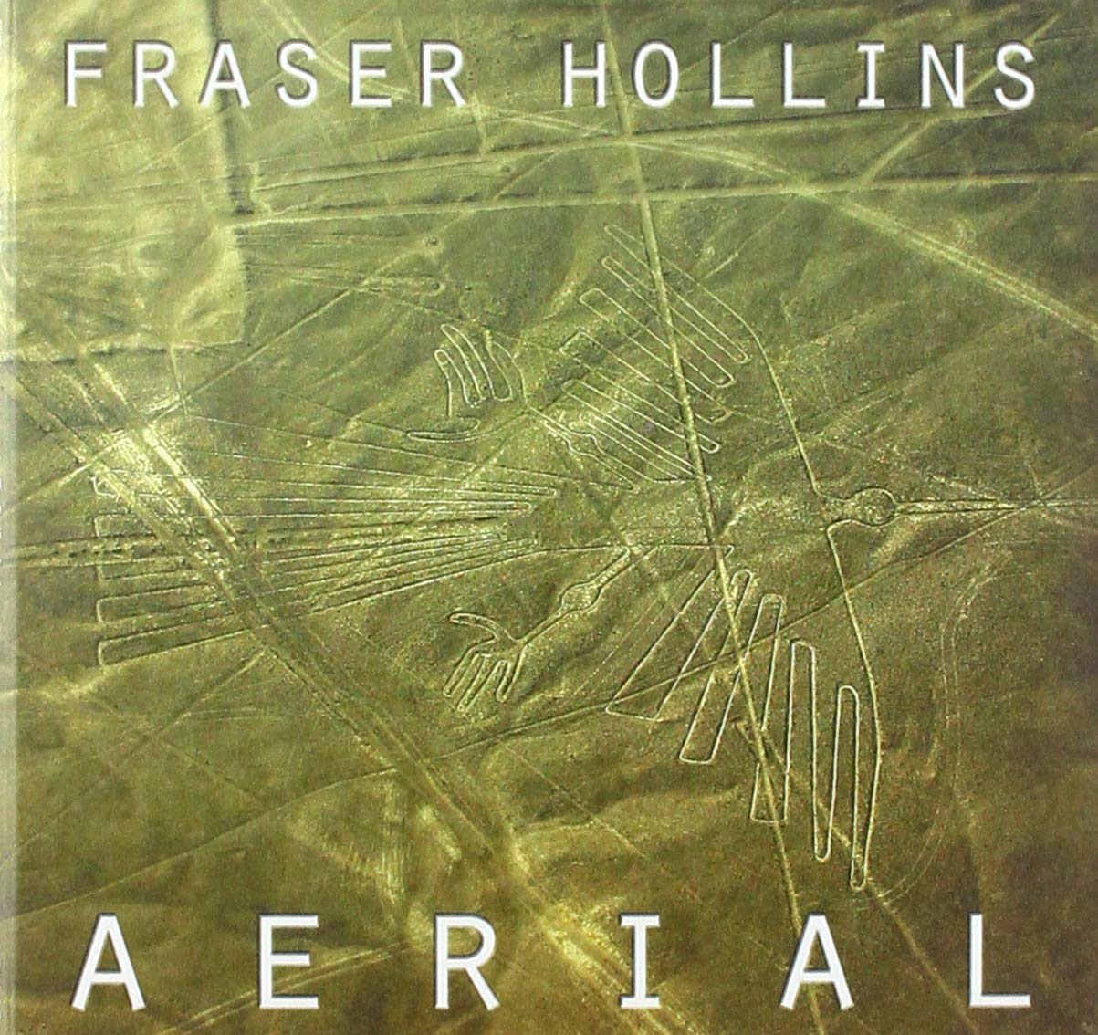 Aerial [Audio CD] Fraser Hollins