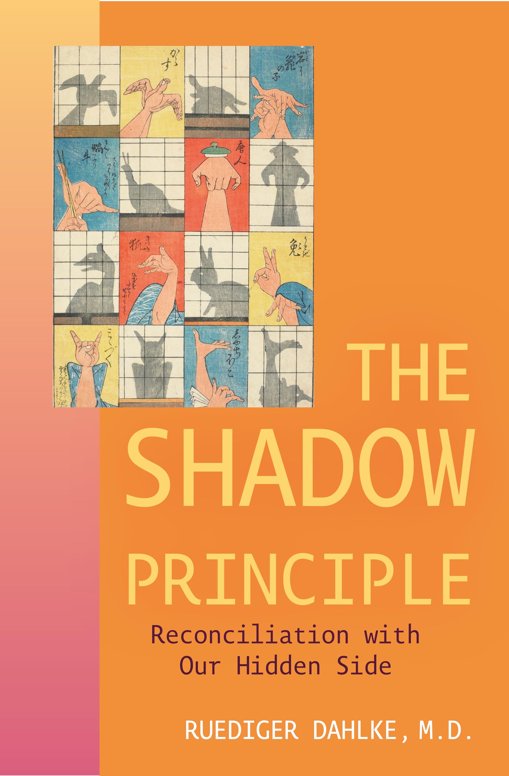 Shadow Principle by Ruediger  Dahlke (Paperback Book)