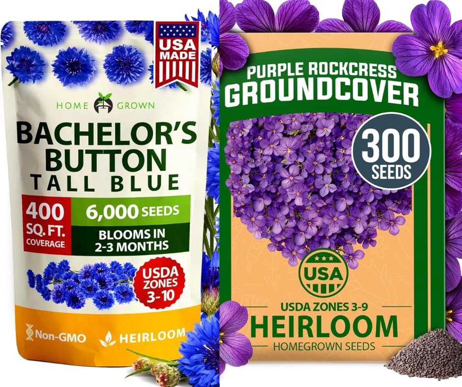 HOME GROWN Bachelor Button Seeds Tall Blue - 6000 & Aubrieta Rock...