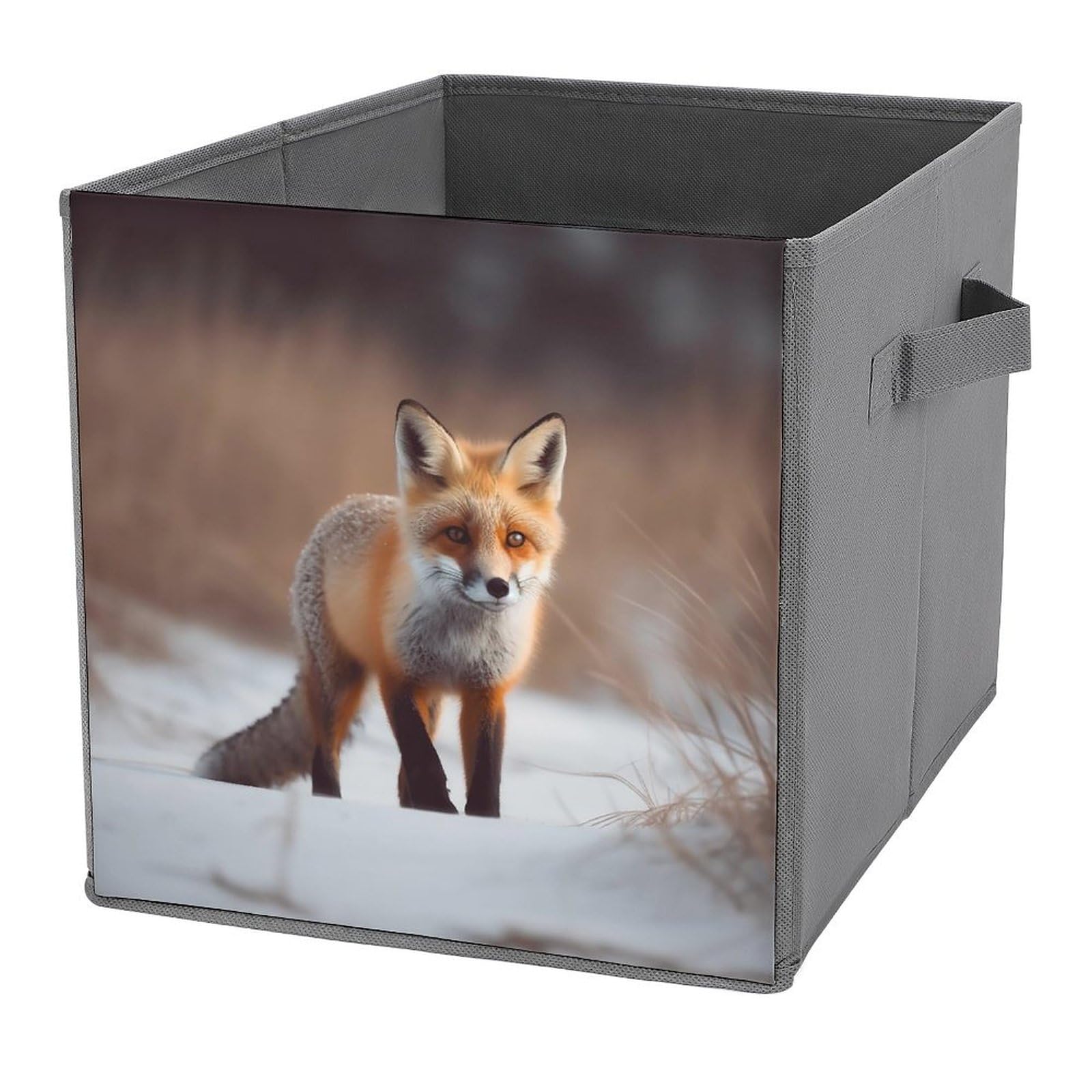 Boîtes de rangement renard pliable pour armoire gain de place