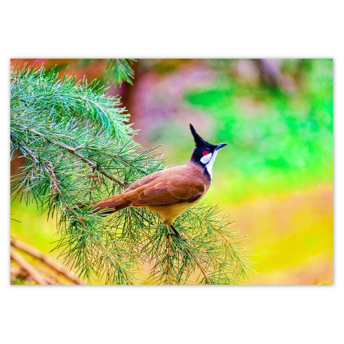 Papier peint intissé oiseau sur branche 208 x 146 cm aux finitions haut de gamme