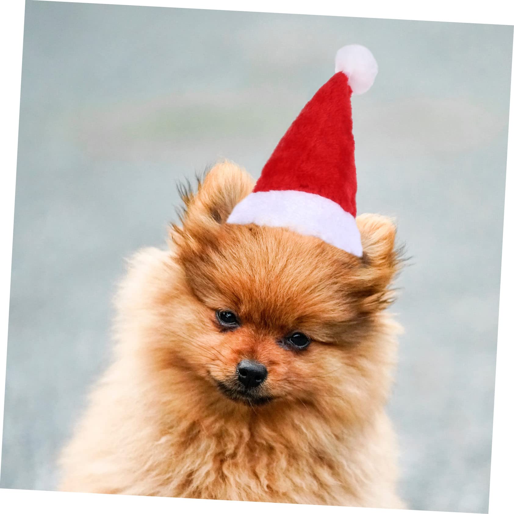 BESPORTBLE 3 Set Adorabile Maglione Per Animali Domestici Costume Di Natale Per Cani Maglione Renna Con Cappello Abbigliamento Per Animali Domestici 2 Pezzi * 3