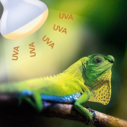 Miniatura 7 de REPTI ZOO Combo de bombillas de calor para reptiles de 100 W, paquete de 2 luces mejoradas para tomar el día y la noche, lámpara de calefacción de