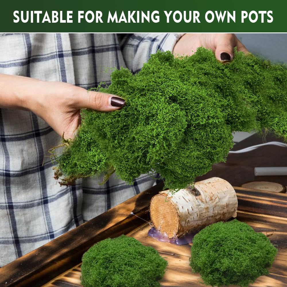 100g Muschio Stabilizzato per Presepe Naturale Muschio Finto per Decorazioni Lichene Stabilizzato Pannelli Licheni Stabilizzati Moss Muschio Artificiale Decorativo Islandese Muschio-Scuro