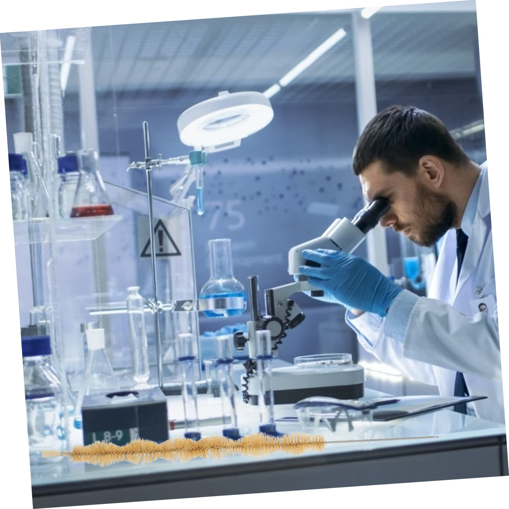 Beavorty 1 Set Spazzola Per La Pulizia Del Laboratorio Scientifico Pennello Scolastico Pennello Da Laboratorio Pulito Sperimentale Condensatore Ferro Da Stiro 2 Pz