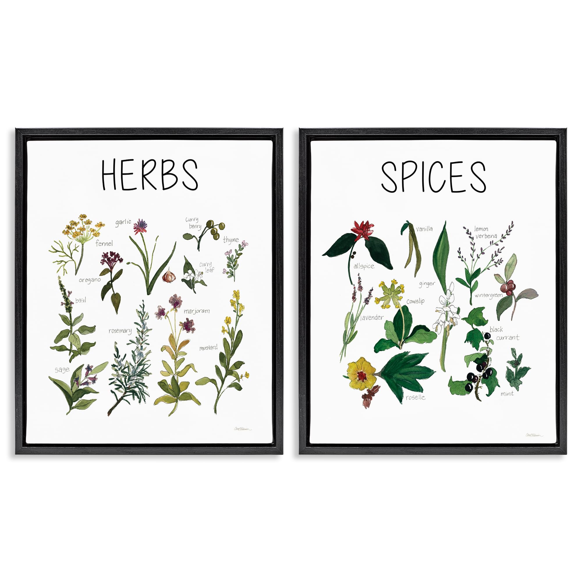 Stupell Industries Jet Black (Matte) 'Culinary Herbs & Spices', 2Pc Floating Frame Art Set 2, Black, 17 X 21 Inches, Easy To Hang And Sturdy, Made In Usa, By Carol Robinson