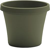 Bloem Terra 6 Inch Resin Planter Pot Living Green - Lightweight UV Fade-Resistant Drainage for Indoor Outdoor Plants