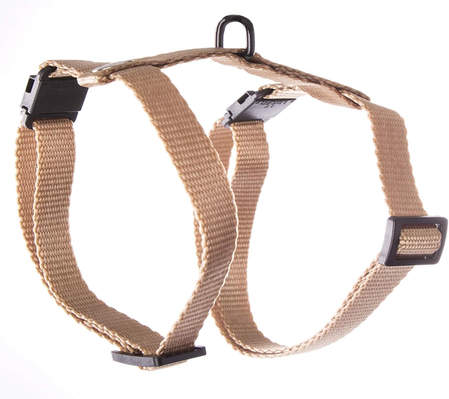 Martin Sellier Harnais Chat Ou Petit Chien En Nylon Haute Qualite Reglable 35 A 50cm Beige Amazon Fr Animalerie