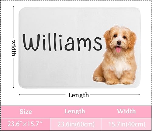 Miniatura 3 de Tapete personalizado para puerta de suelo, tapetes de bienvenida personalizados, alfombra deshumidificadora de puerta, tapete personalizado para