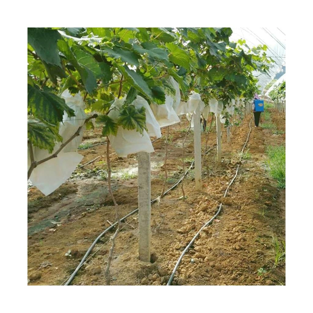 Fruit netting, 100pcs Garden Strawberry Grapes Fruit Protection Bags Cover, for Plant Nursery Bag Mesh Gardening Protect(18x25cm)