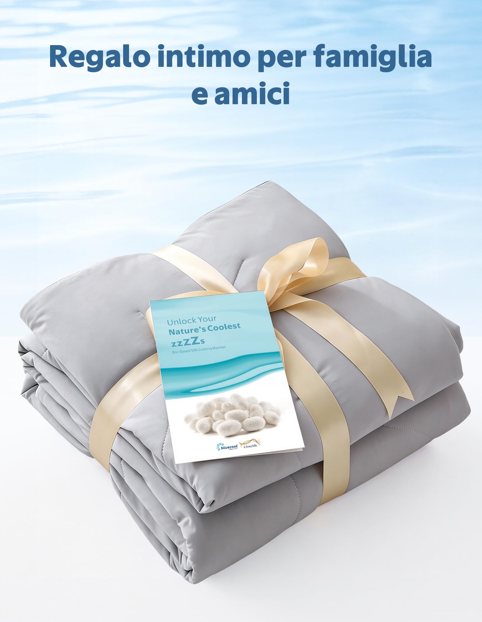 Dafinner Trapunta Estiva Leggera Matrimoniale| 220 × 240cm | Grigio Beige | Imbottitura 100 % seta selvatica | Ariosa per l‘estate | Oeko-Tex | Rinfrescante per chi dorme caldo | Q-Max > 0,4