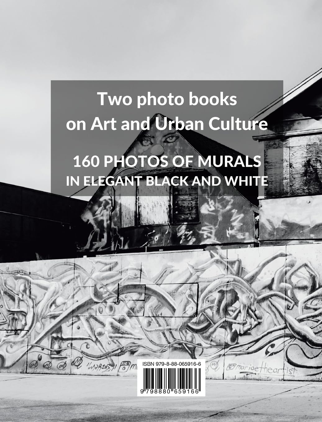 Collection of Black and White Murals and Street Art - Volumes 1 and 3: Two Photographic Books on Urban Art and Culture