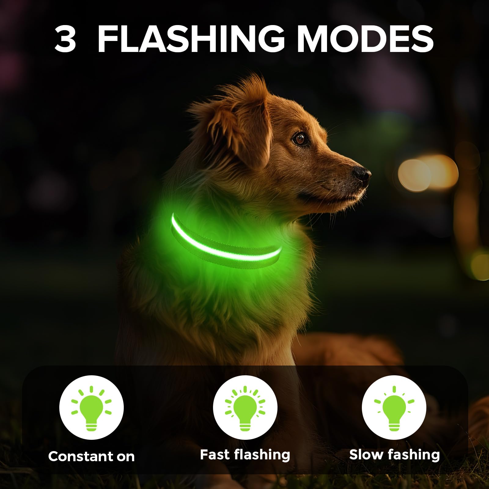 Collar de perro iluminado para caminar por la noche, collar de perro con luz LED recargable USB-C, brilla en la oscuridad, collar brillante impermeable, ajustable con 3 modos para perros