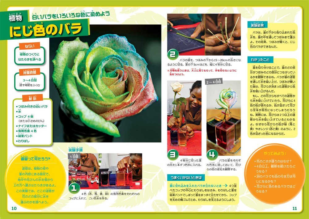 ナショジオ式自由研究 親子でできる たのしい科学実験 National Geographic Kids Books Amazon Ca