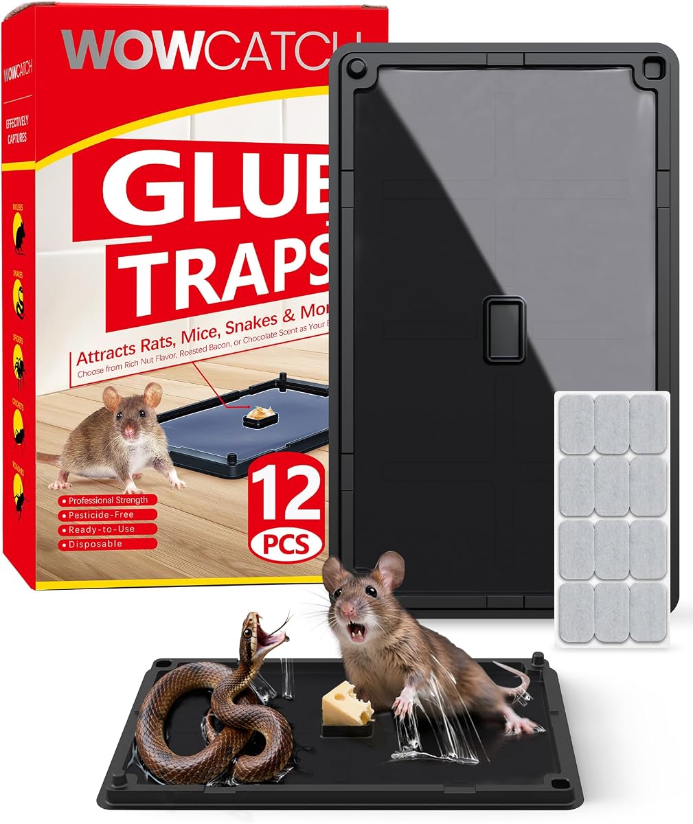 Trampas para ratas, serpientes y ratones, 12 unidades, grandes trampas de pegamento adhesivo a granel | Atrapasueños para roedores, seguro para mascotas, con cebo previo para el hogar, para garaje, cocina, atrapa cucarachas, arañas, lagartos, no tóxico, grande