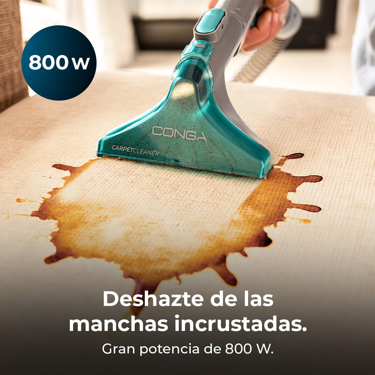 Cecotec Limpiador Aspirador de Tapicerías y Alfombras, Aspiradora de Trineo Conga CarpetClean 10000 EasyHome. 800W, Depósito de Agua Limpia 3L y Agua Sucia 1,5L, Multisuperficie, Kit Accesorios