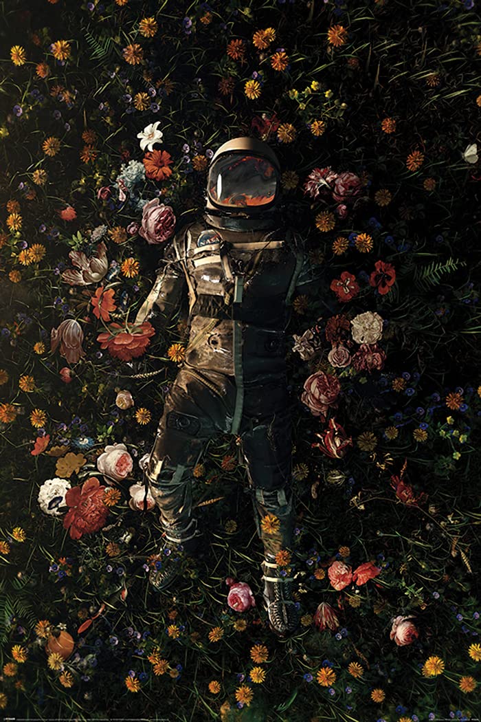 Amazon.com: Nicebleed: Garden Delights - Fantasy Poster (Astronaut