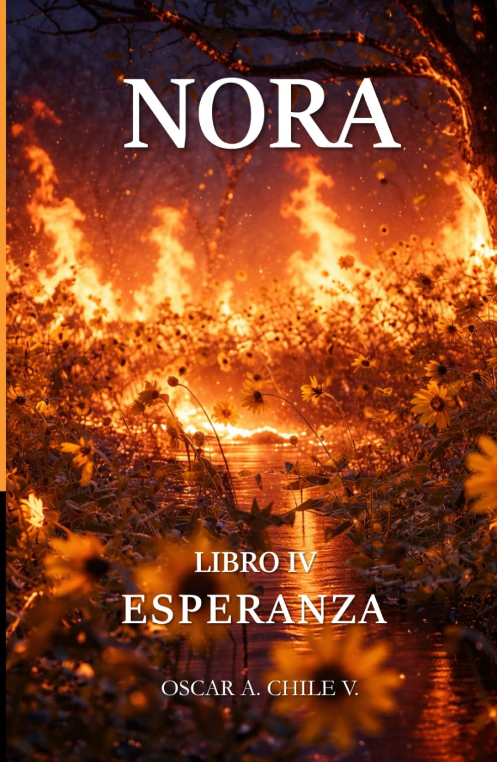 NORA - LIBRO IV: ESPERANZA