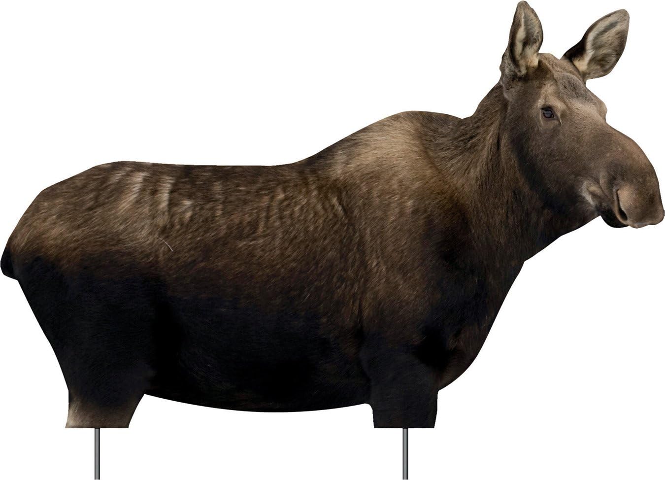 Phantom HD Cow Moose Decoy